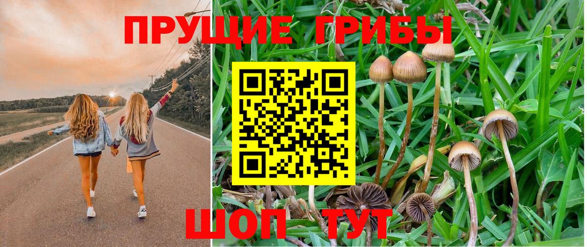 Псилоцибиновые грибы Cubensis Щёлково